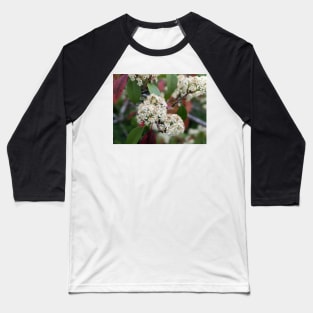 Tiny White Tree Flowers 2 Baseball T-Shirt